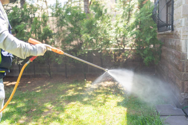Spider Control Near Me in Wayzata, MN